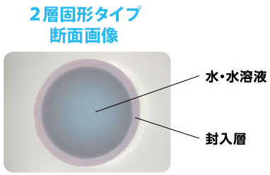 断面画像